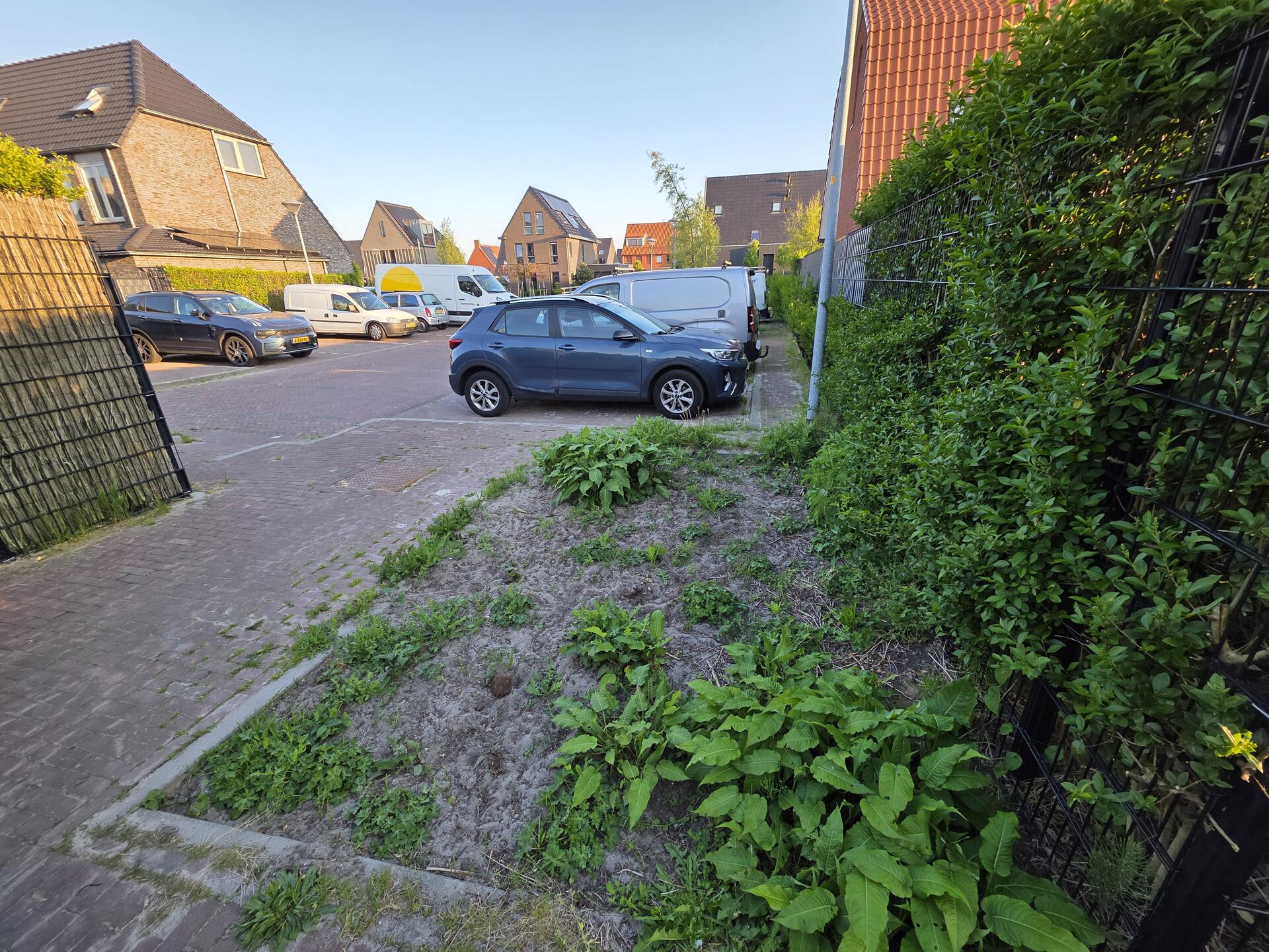 Foto bij melding 5090785 · Groenonderhoud