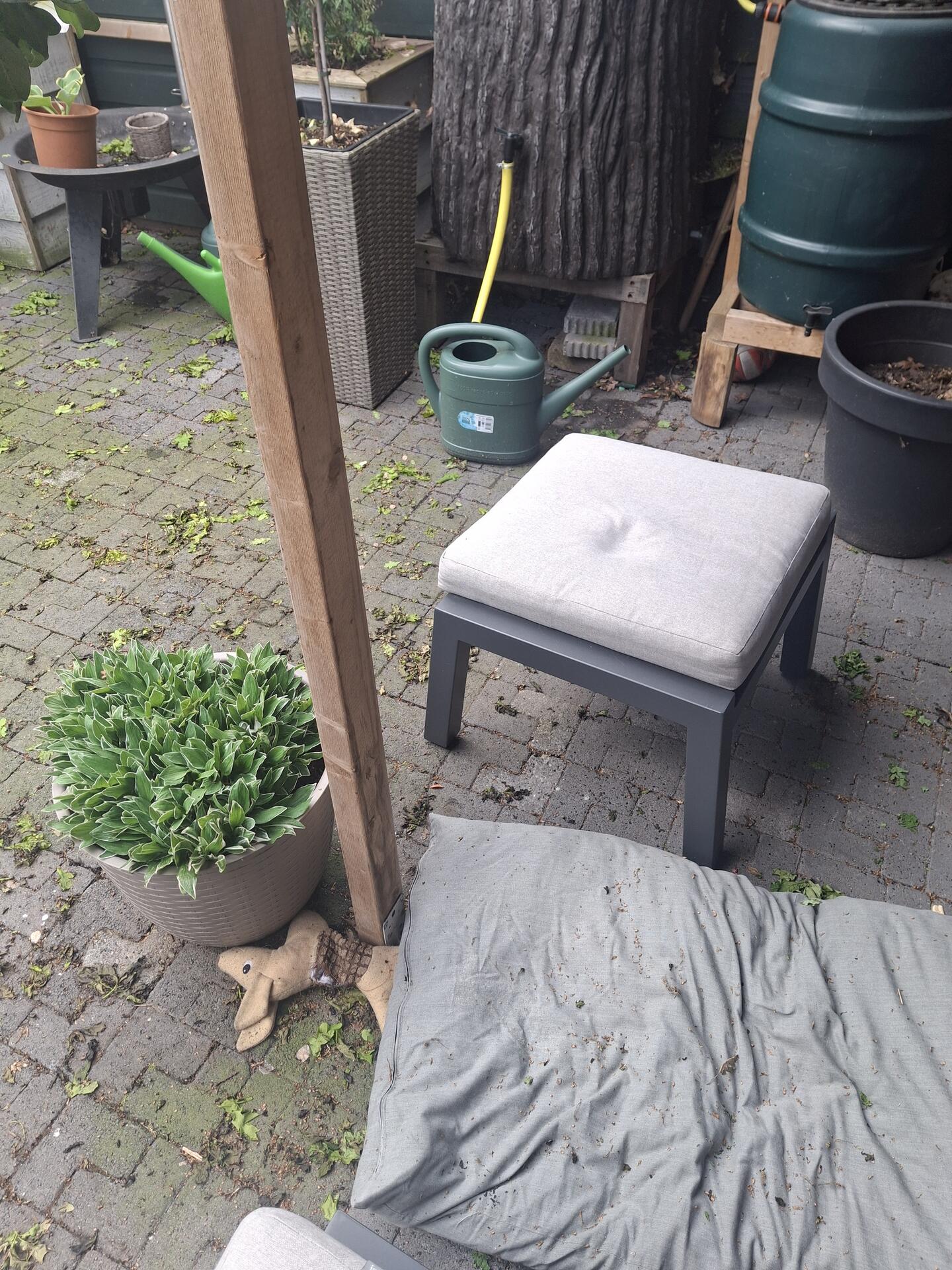Foto bij melding 5105391 · Openbaar groen