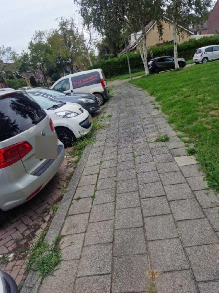 Foto bij melding 5543067 · Openbaar groen