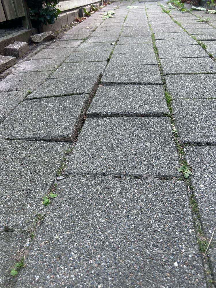 Foto bij melding 5595440 · Wegen en paden
