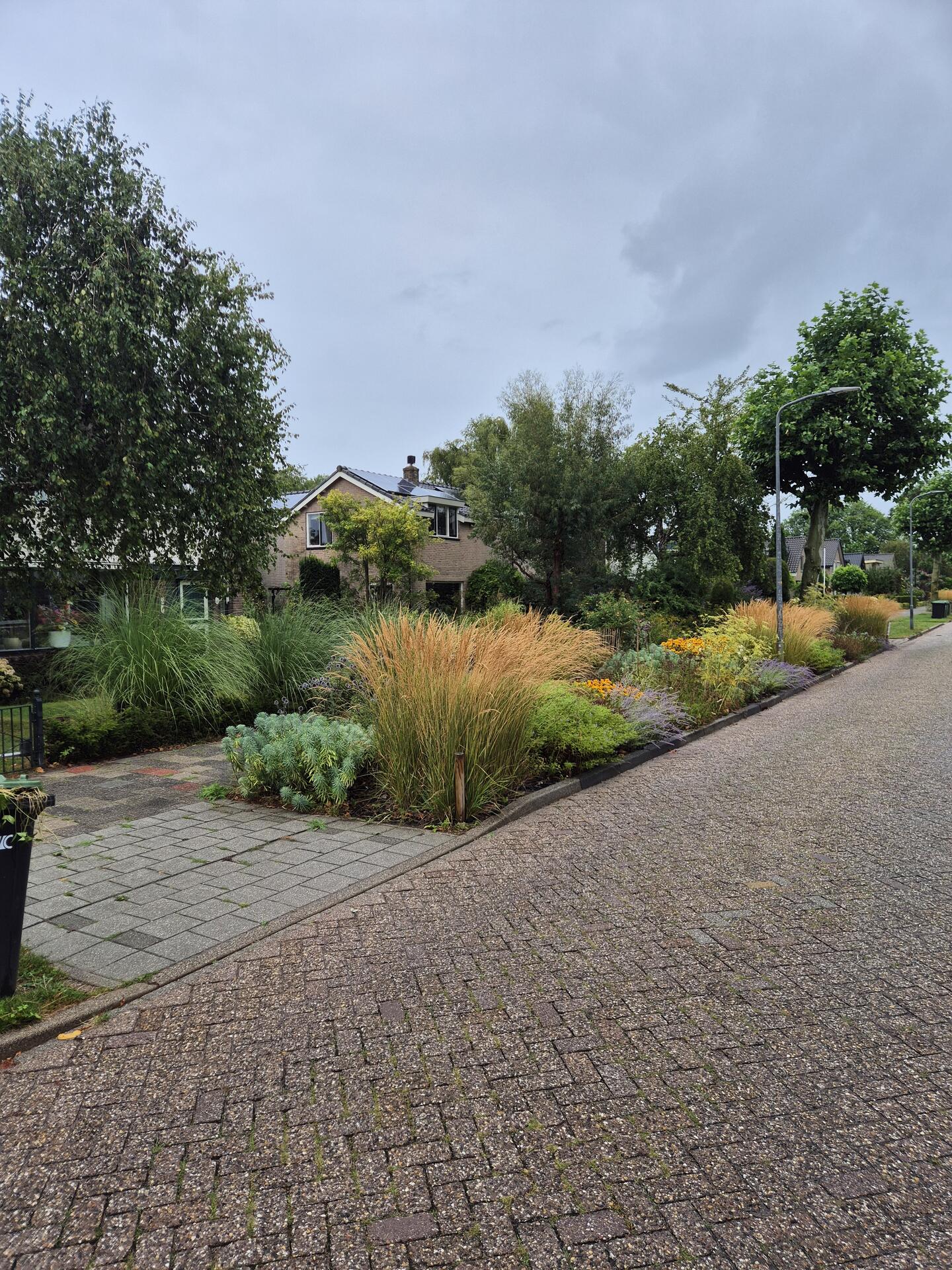 Foto bij melding 5481483 · Openbaar groen