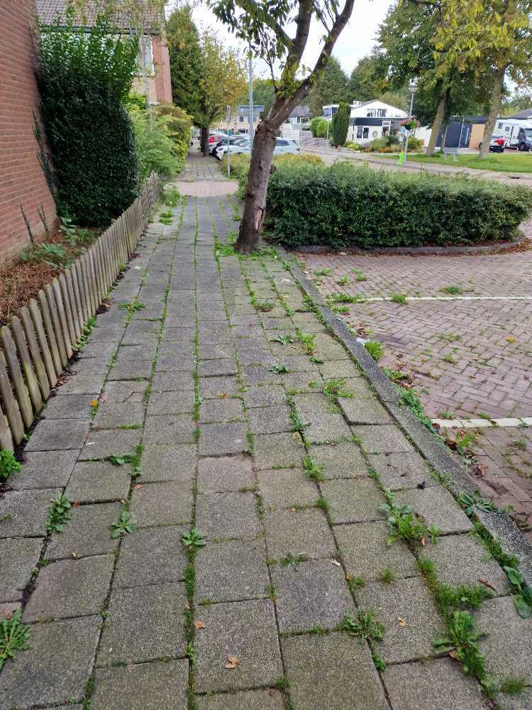 Foto bij melding 5657864 · Wegen, fietspaden, en stoepen