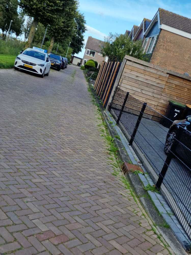 Foto bij melding 5602160 · Openbaar groen