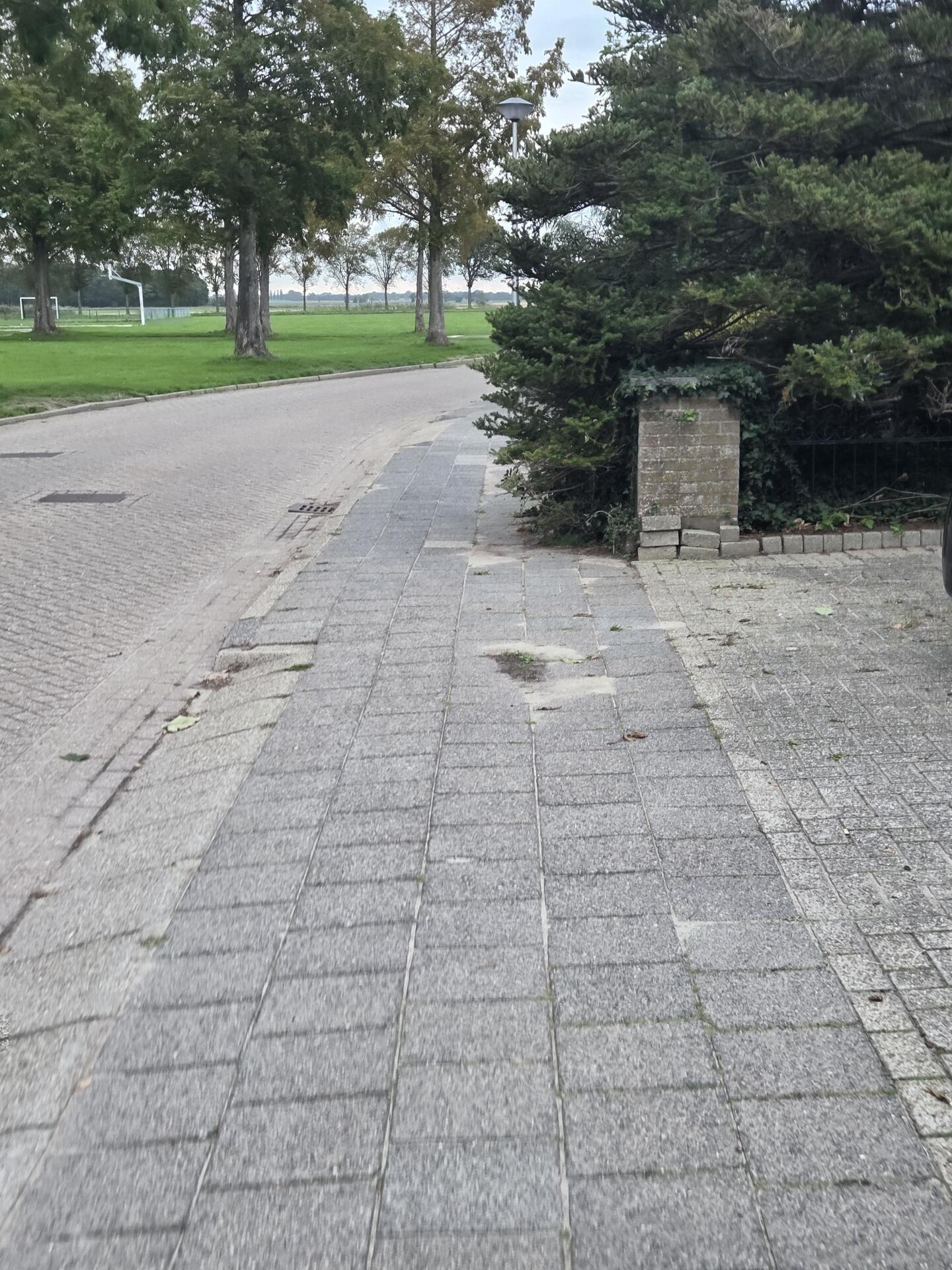 Foto bij melding 5576604 · Openbaar groen