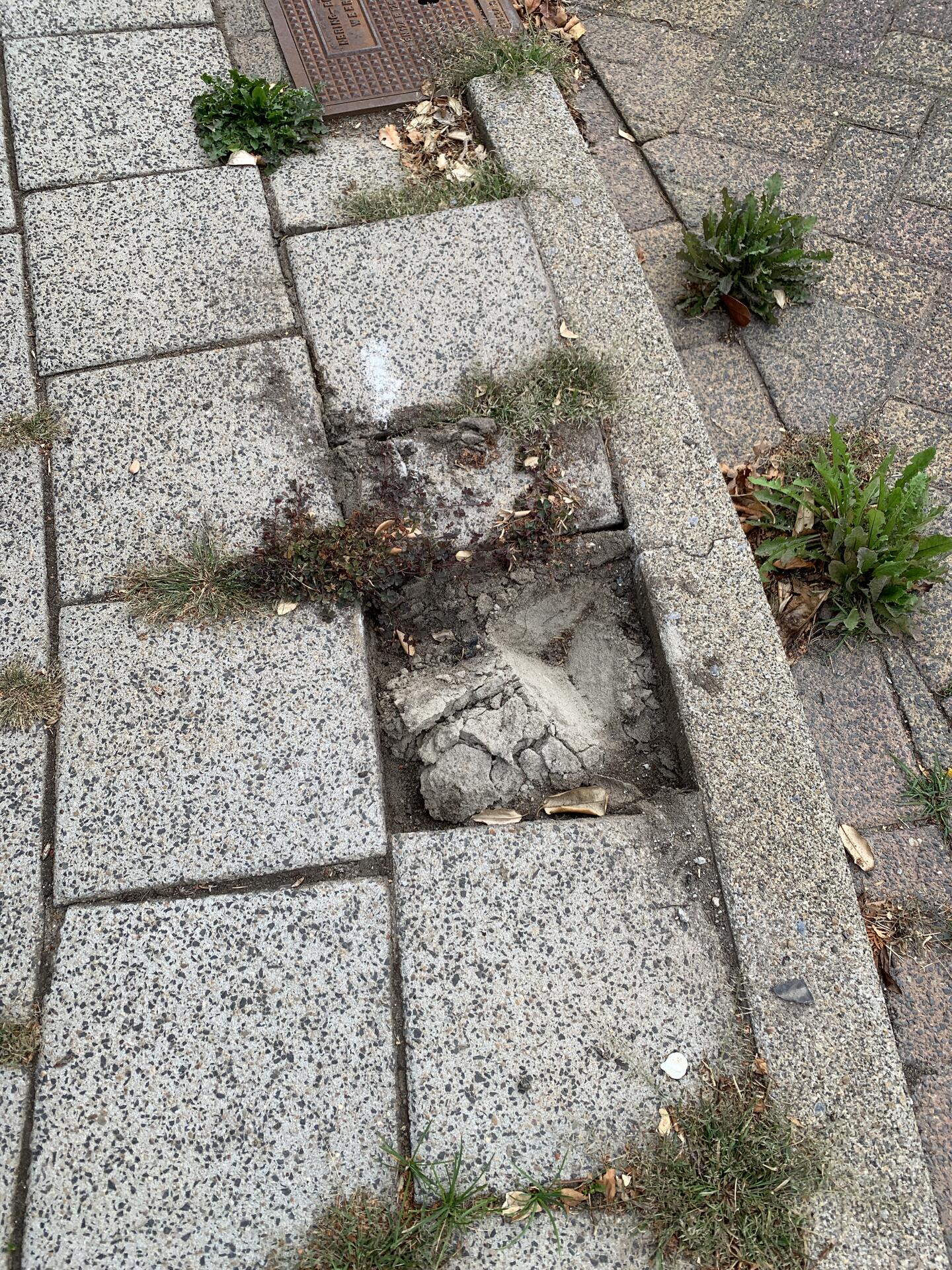 Foto bij melding 5494970 · Wegen en paden
