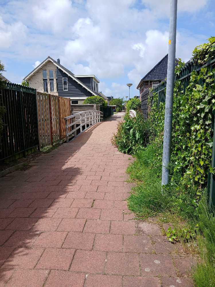 Foto bij melding 5128569 · Openbaar groen