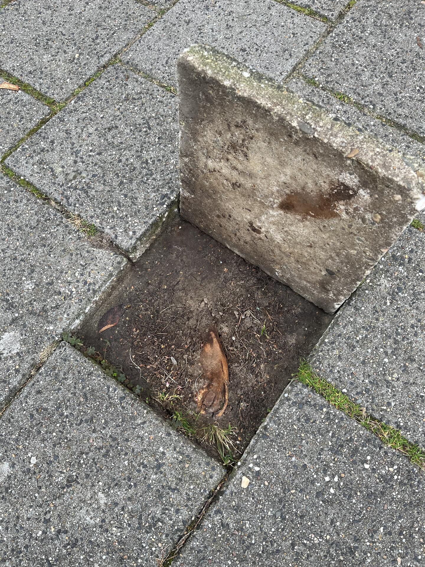 Foto bij melding 5640029 · Wegen, fietspaden, en stoepen