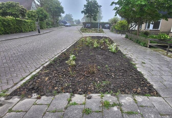 Foto bij melding 5069581 · Openbaar groen