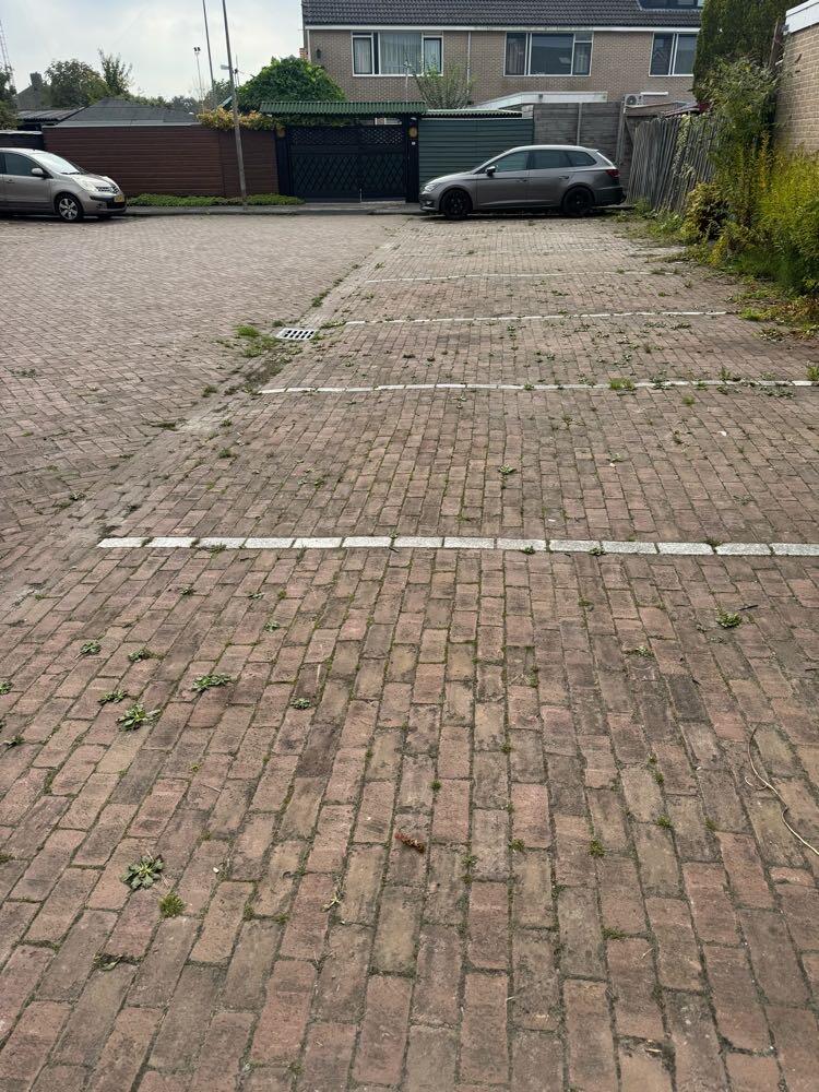 Foto bij melding 5609689 · Openbaar groen