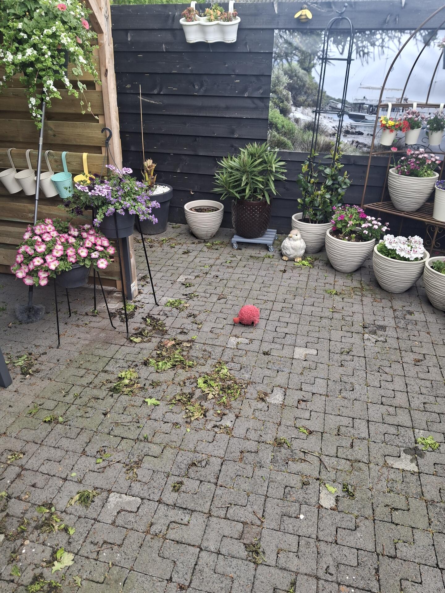 Foto bij melding 5105391 · Openbaar groen