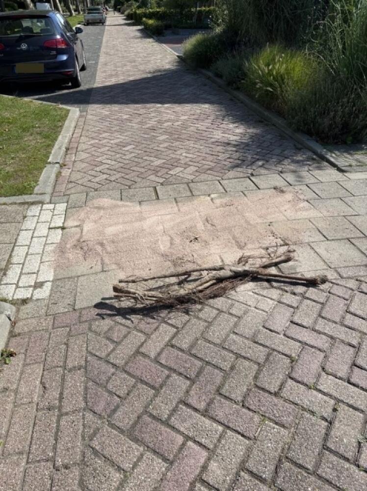 Foto bij melding 5498700 · Wegen, fietspaden, en stoepen