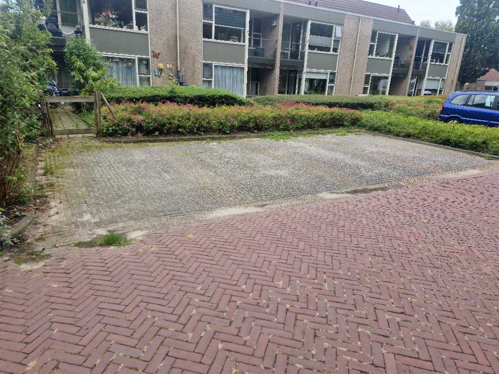 Foto bij melding 5606428 · Openbaar groen