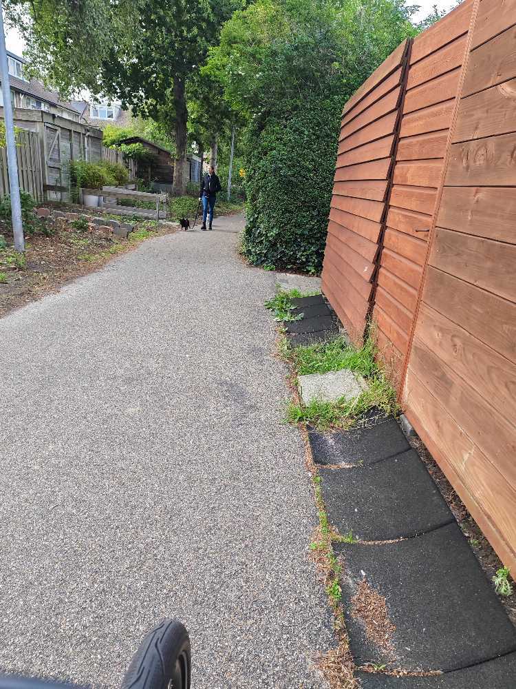 Foto bij melding 5564055 · Groenonderhoud