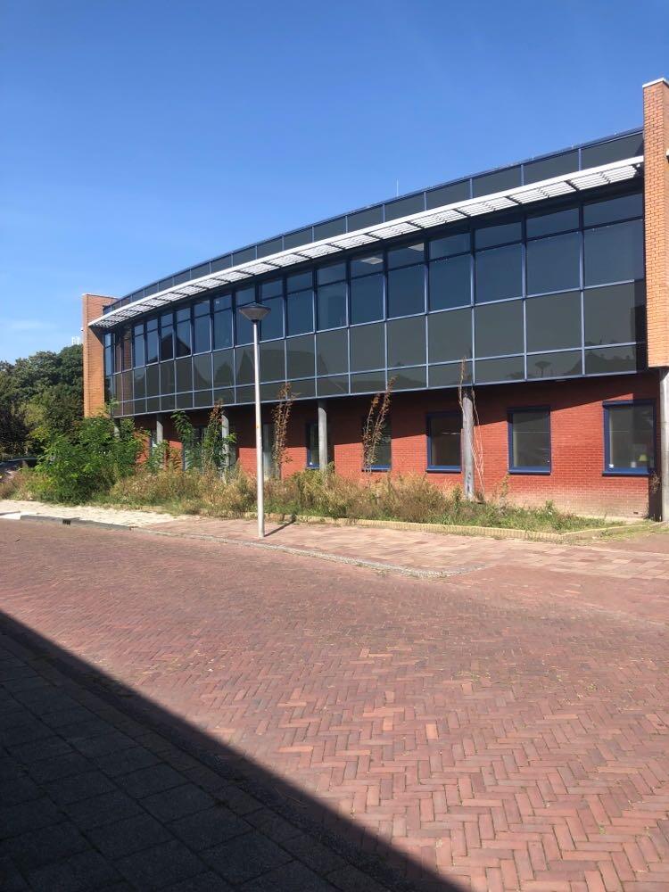 Foto bij melding 5550501 · Openbaar groen