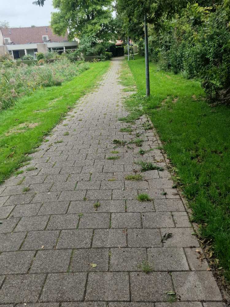Foto bij melding 5606335 · Openbaar groen