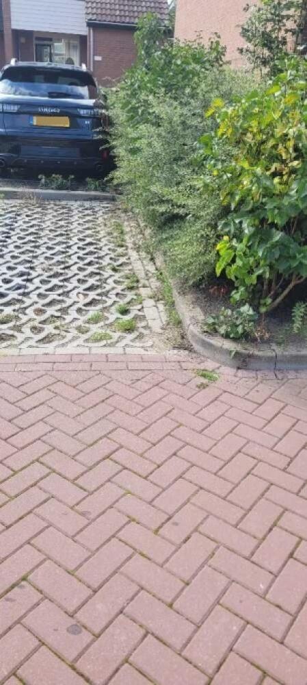 Foto bij melding 5575077 · Groenonderhoud