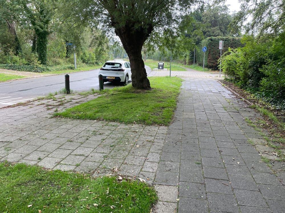 Foto bij melding 5568336 · Wegen en paden