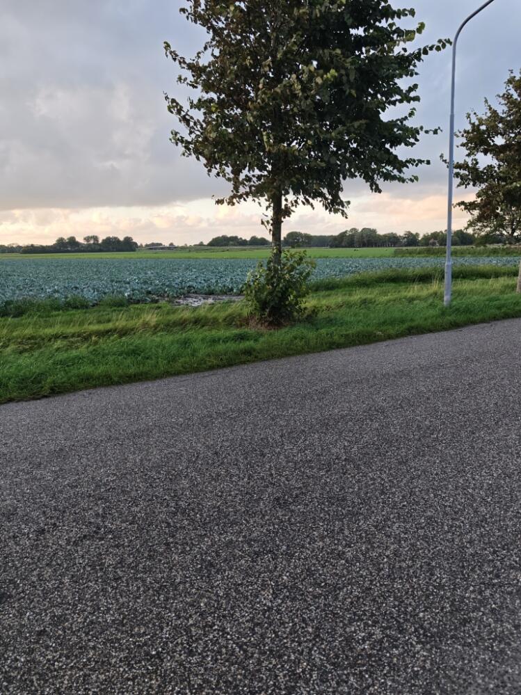 Foto bij melding 5527466 · Dieren