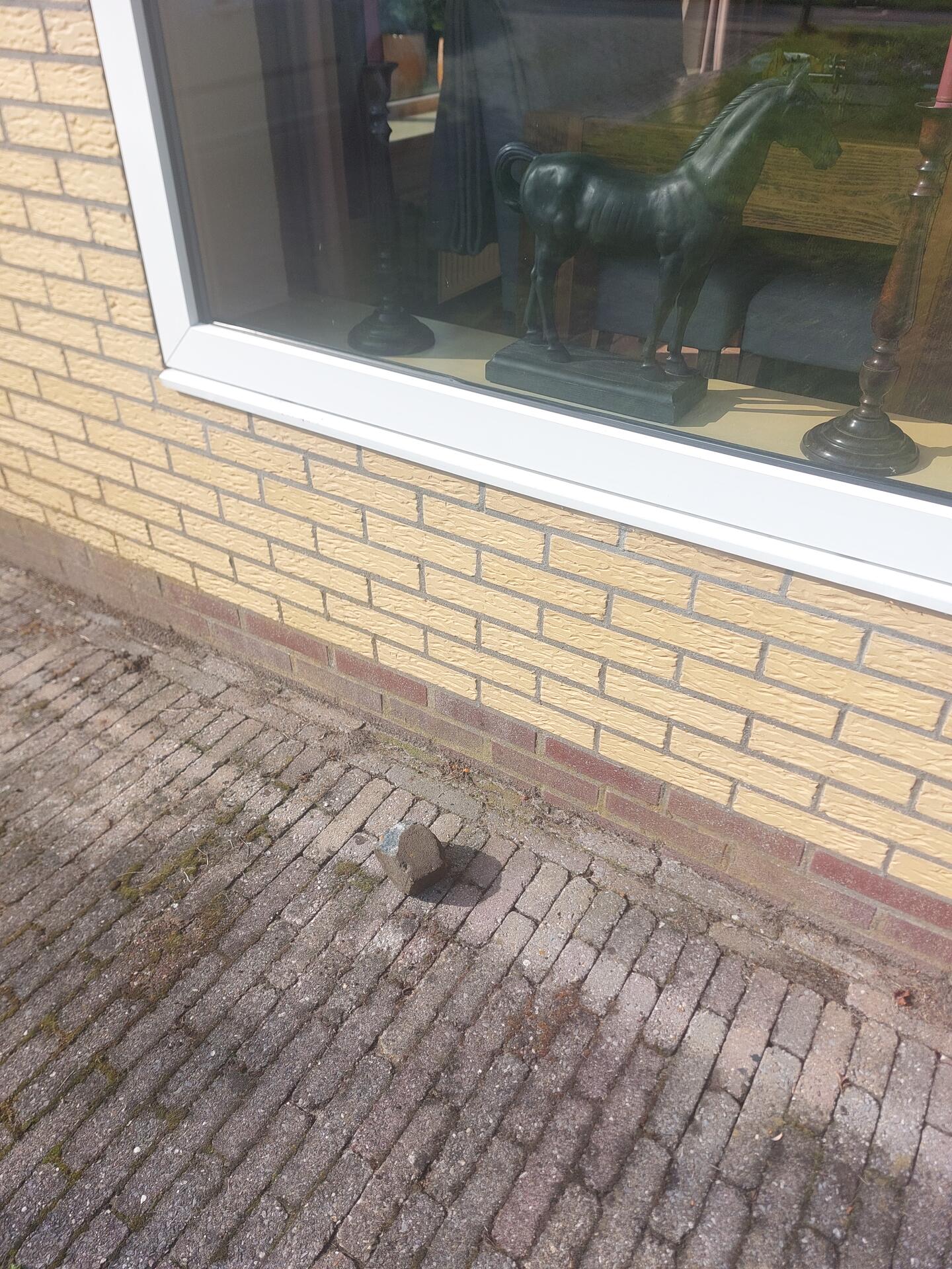 Foto bij melding 5633681 · Openbaar groen