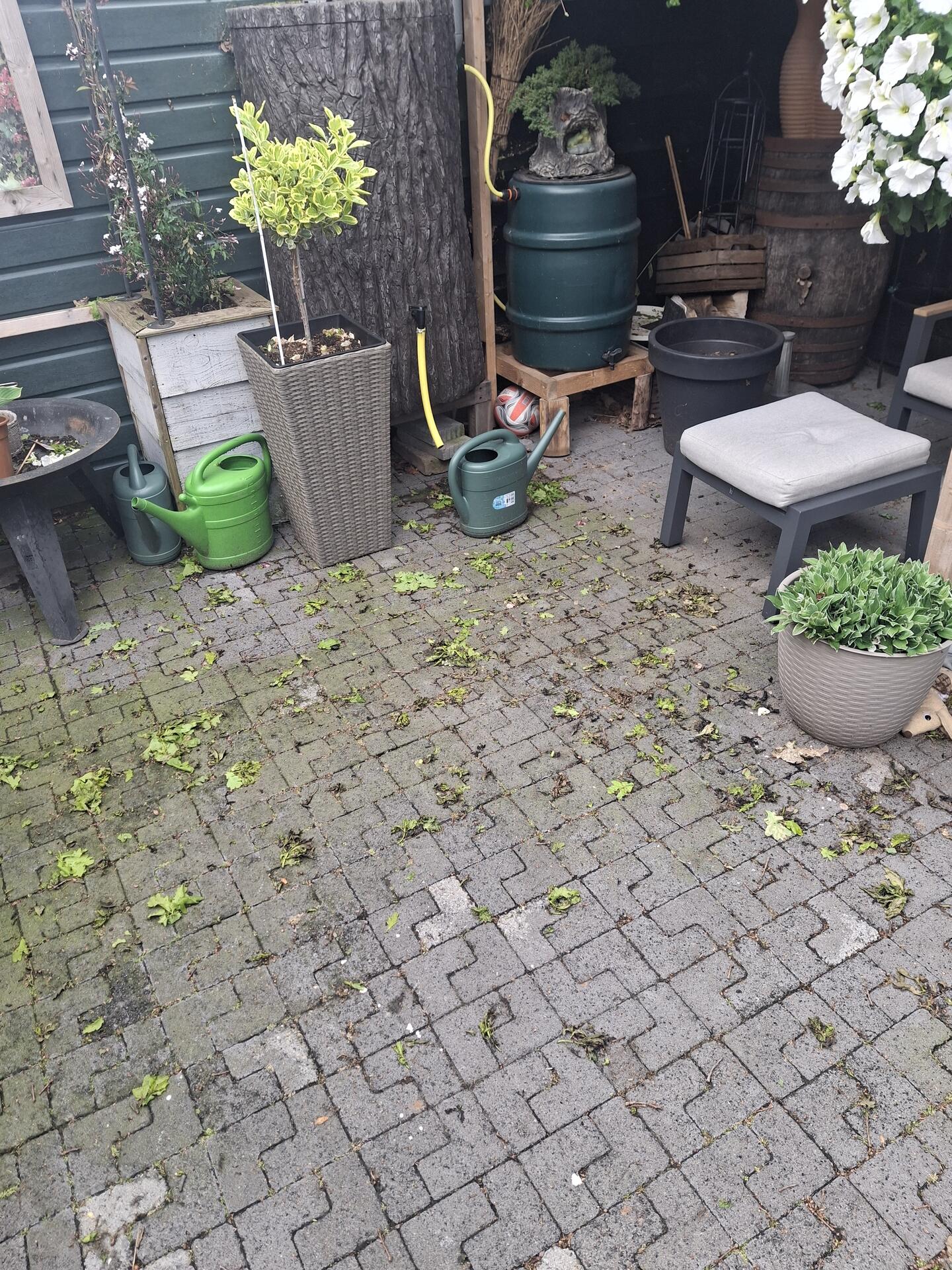 Foto bij melding 5105391 · Openbaar groen