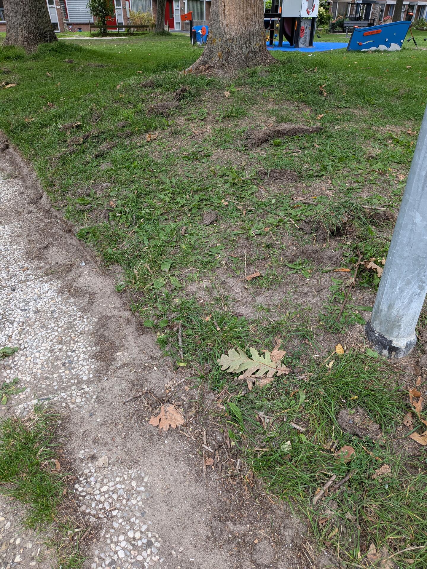Foto bij melding 5587754 · Openbaar groen