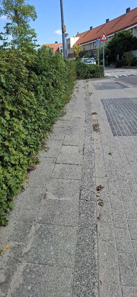 Foto bij melding 5499234 · Wegen, fietspaden, en stoepen