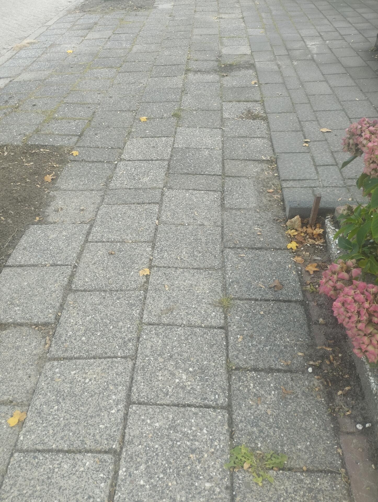 Foto bij melding 5634741 · Wegen, fietspaden, en stoepen
