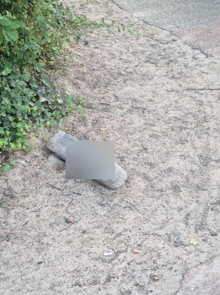 Foto bij melding 5583621 · Wegen en paden