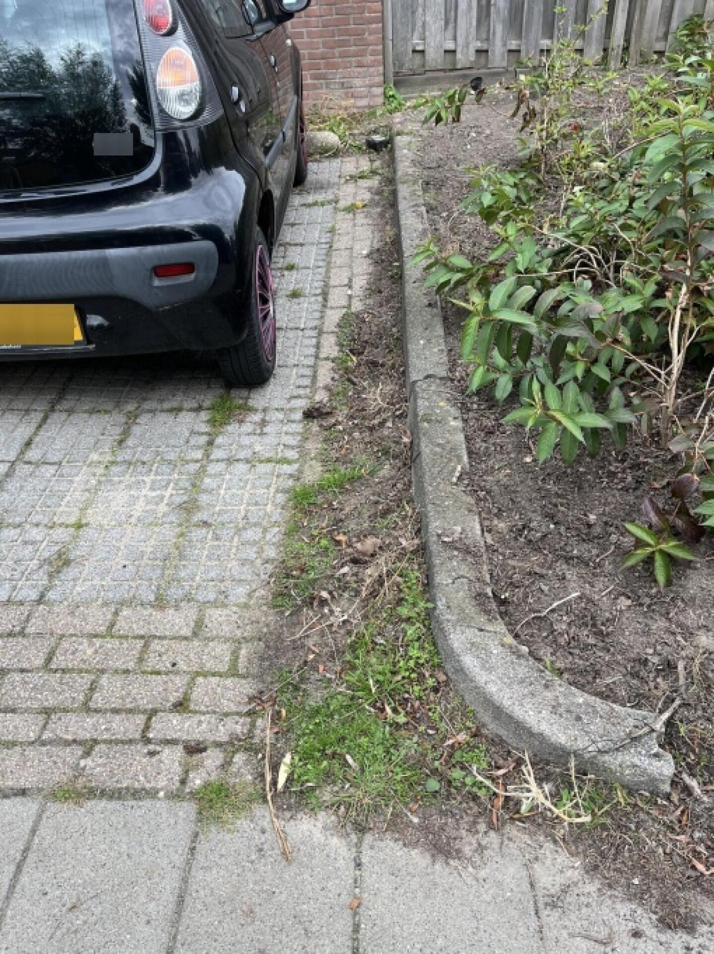 Foto bij melding 5639632 · Openbaar groen