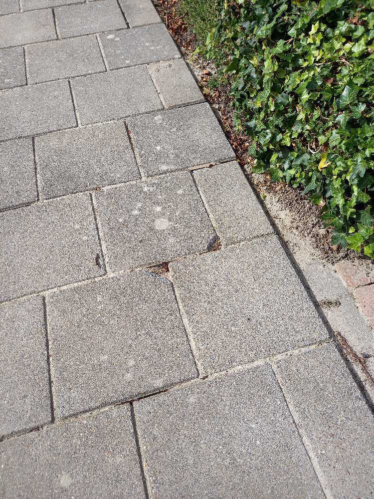 Foto bij melding 5601333 · Wegen, fietspaden, en stoepen