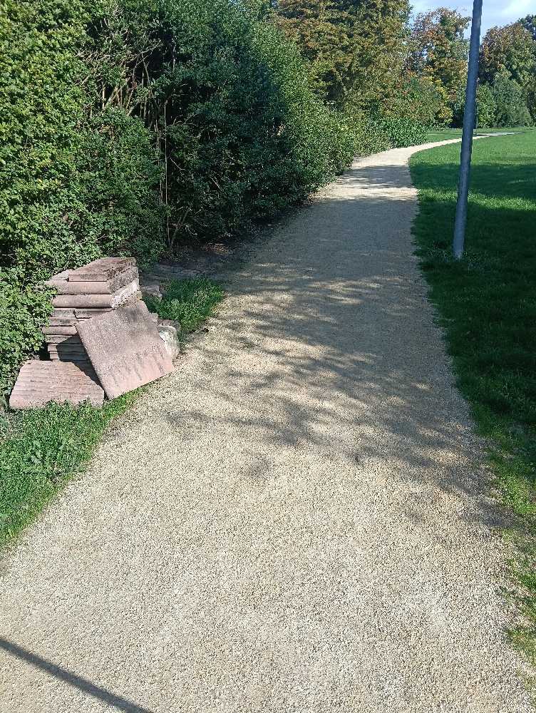 Foto bij melding 5562198 · Afval en zwerfvuil