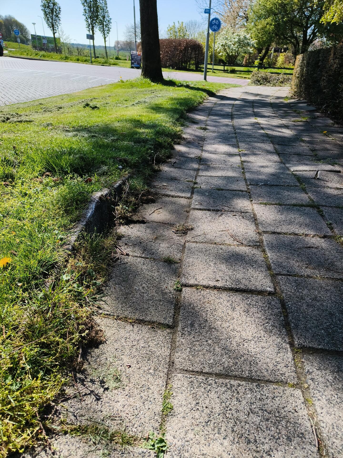 Foto bij melding 5043939 · Wegen, fietspaden, en stoepen