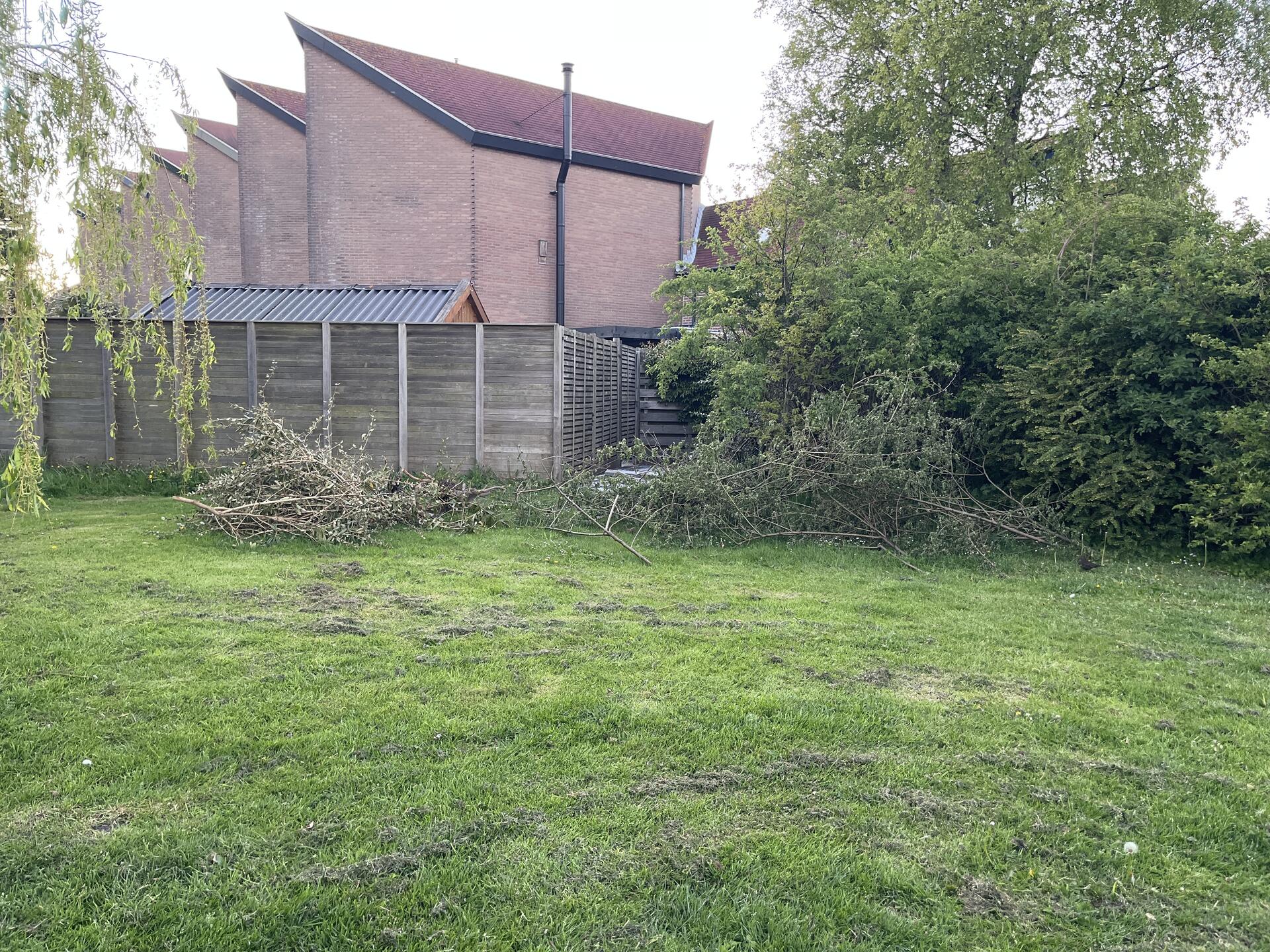 Foto bij melding 5060988 · Groenonderhoud