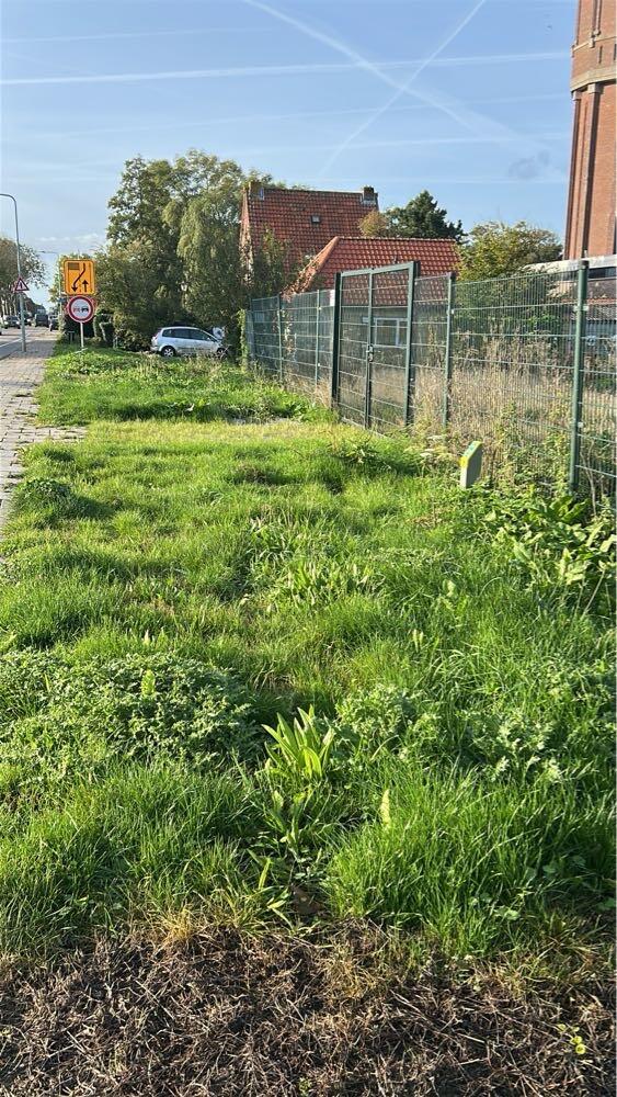 Foto bij melding 5613720 · Openbaar groen