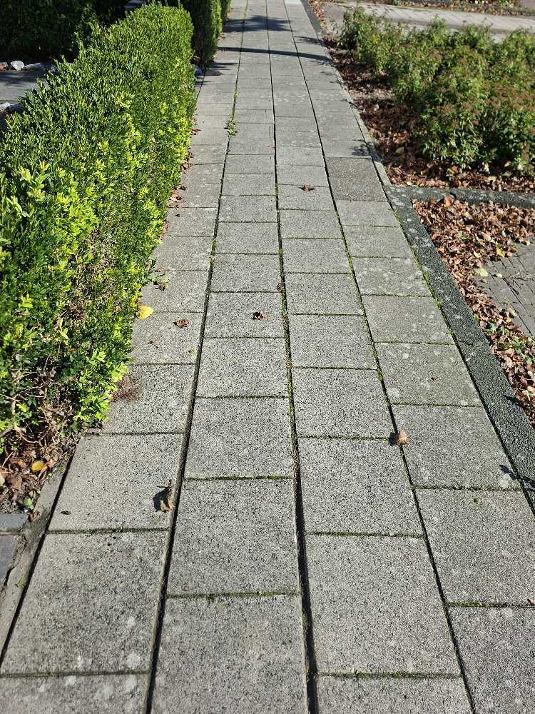 Foto bij melding 5680716 · Wegen, fietspaden, en stoepen