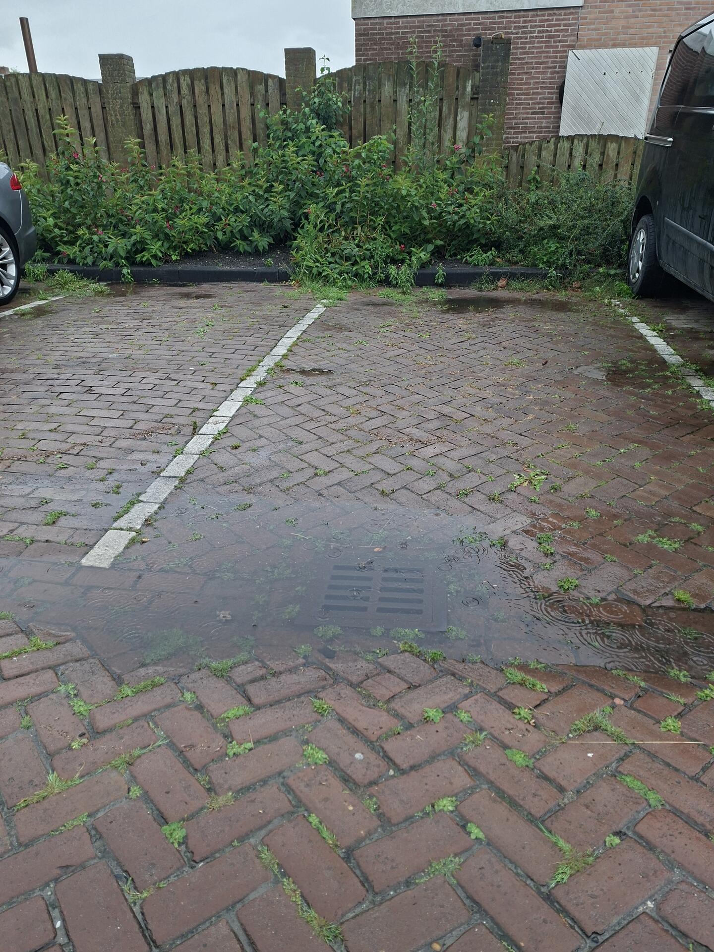 Foto bij melding 5525500 · Riolering