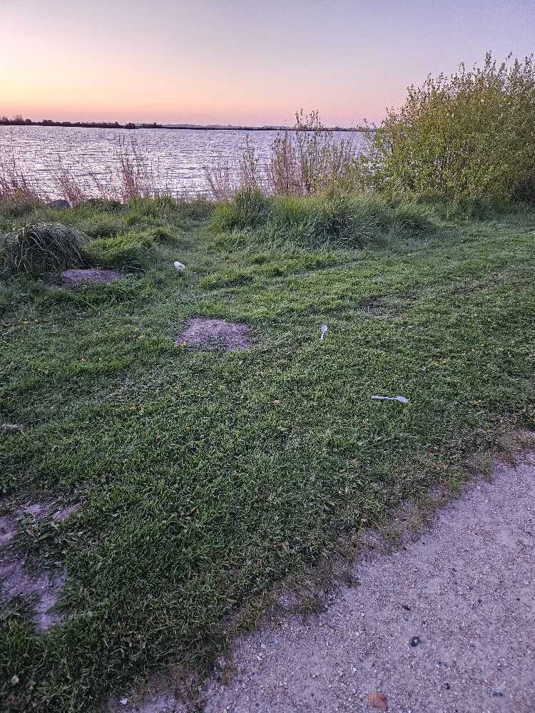 Foto bij melding 5033516 · Afval/Hondenpoep/Ongedierte/Dode dieren