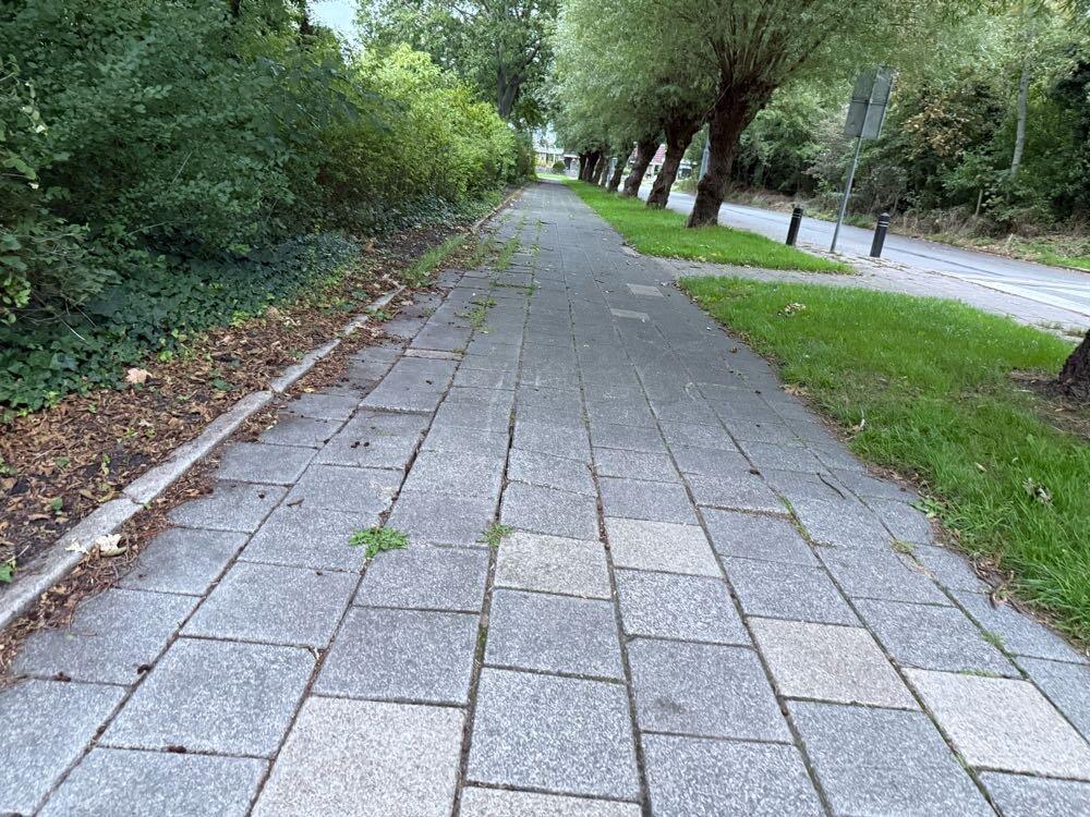 Foto bij melding 5578668 · Wegen en paden