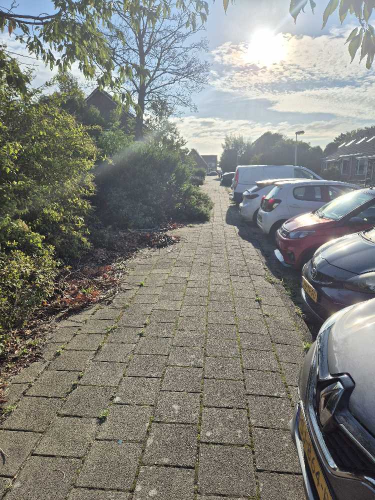 Foto bij melding 5532719 · Groenonderhoud