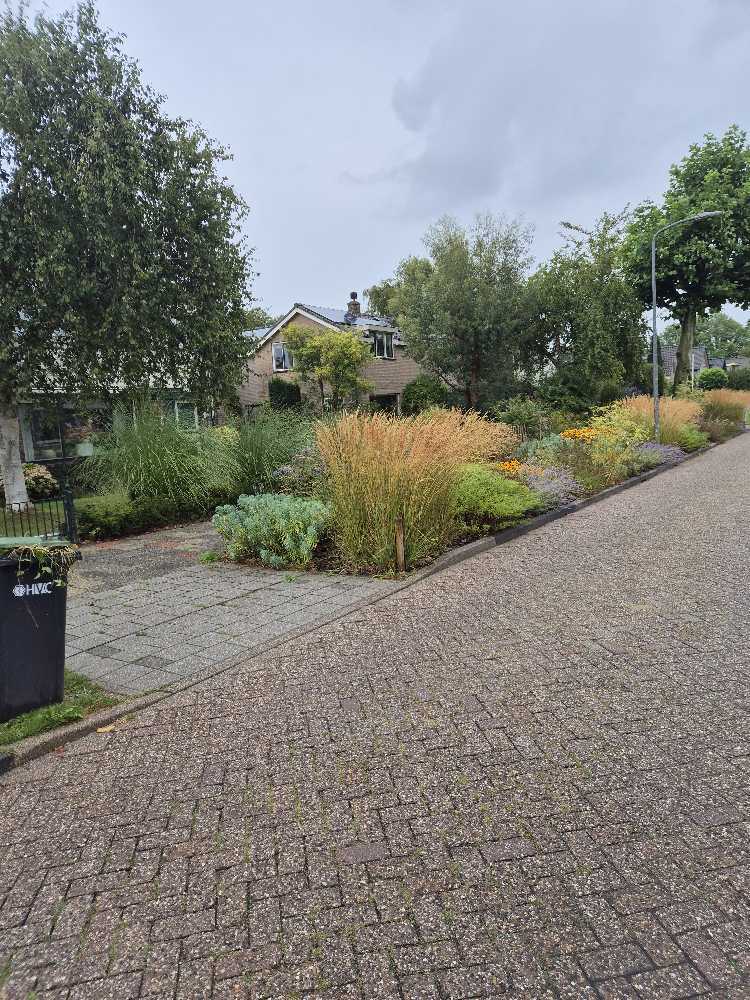 Foto bij melding 5481483 · Openbaar groen