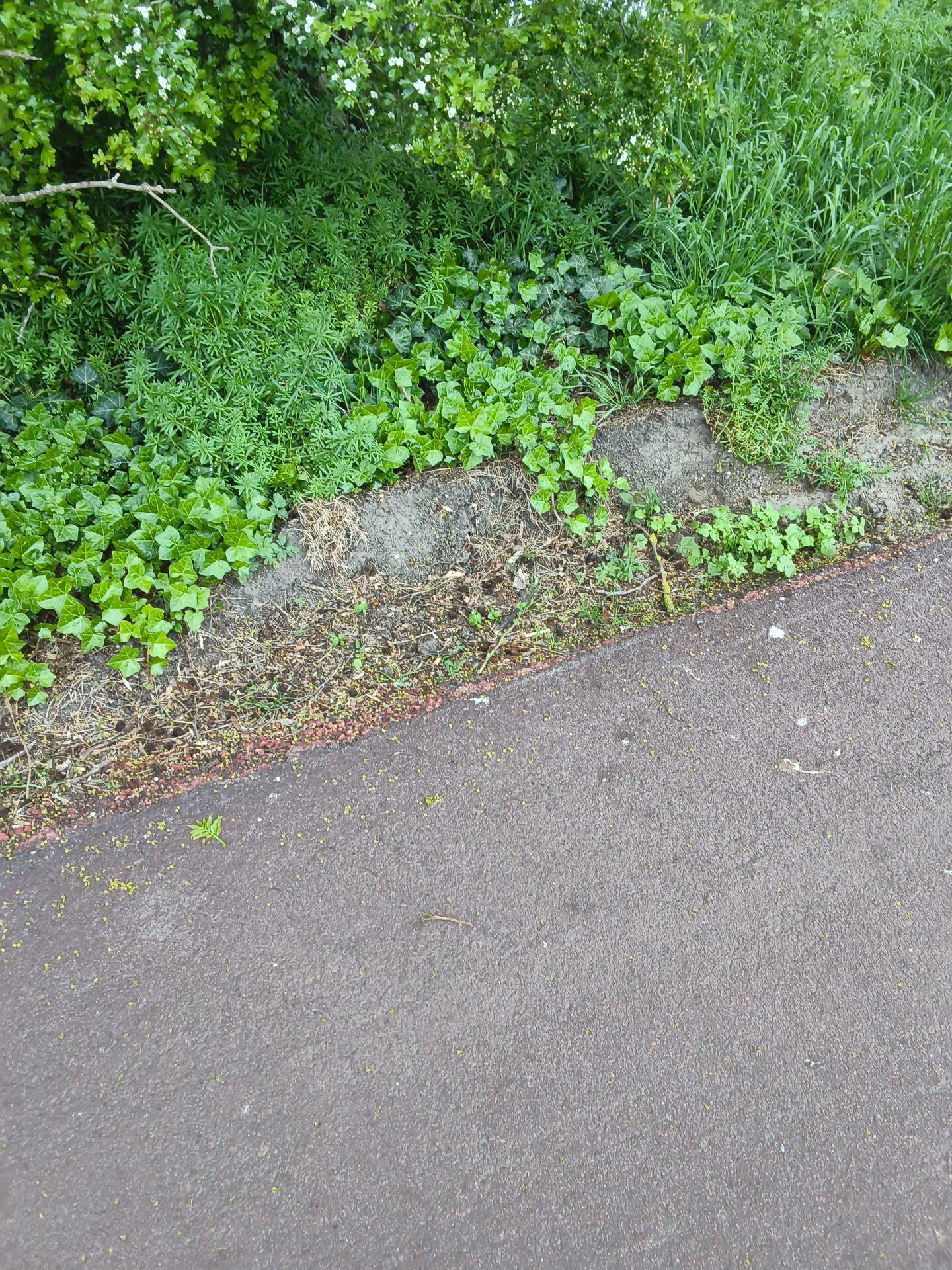 Foto bij melding 5112244 · Wegen, fietspaden, en stoepen