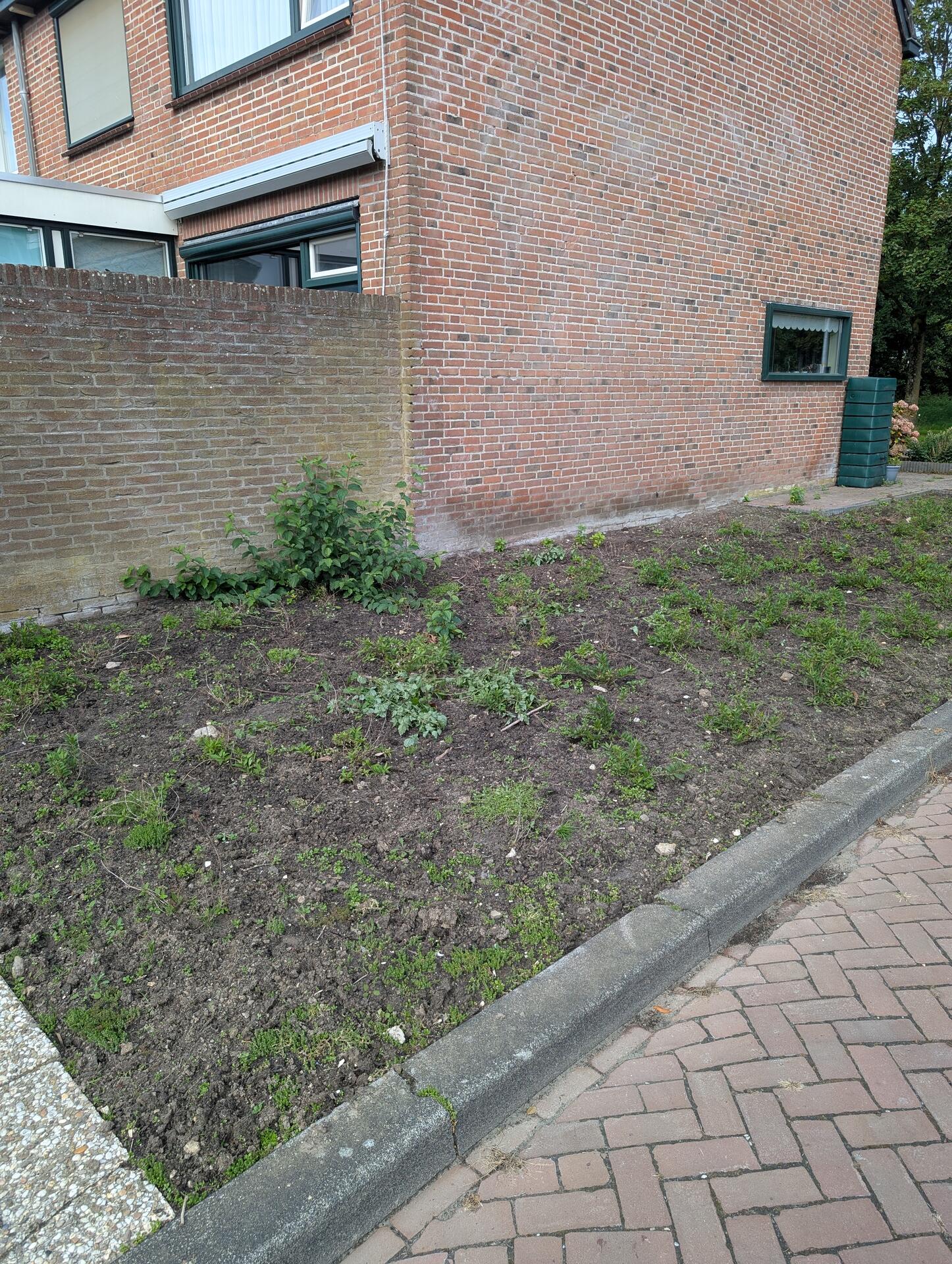Foto bij melding 5568884 · Openbaar groen
