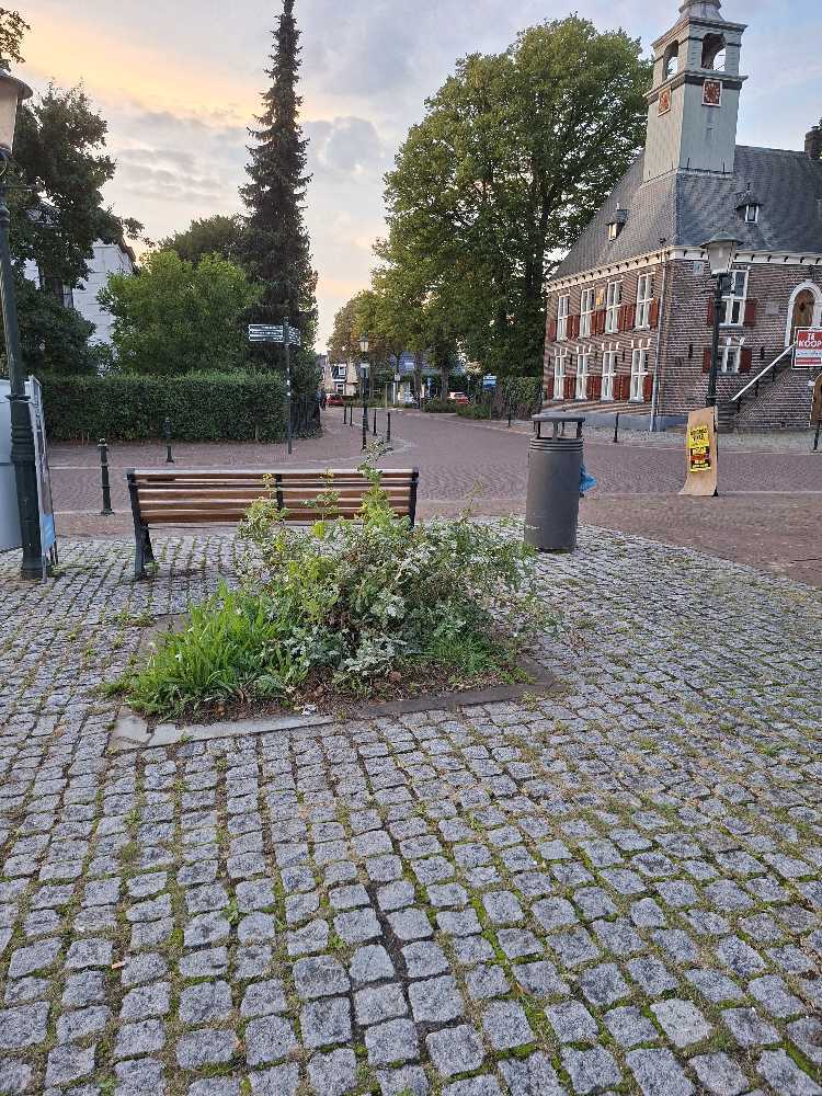 Foto bij melding 5567545 · Openbaar groen