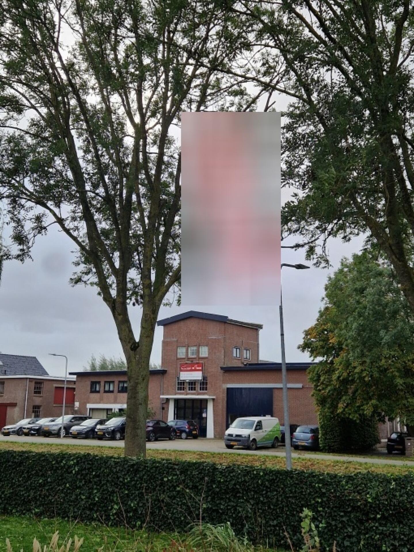Foto bij melding 5722093 · Openbaar groen