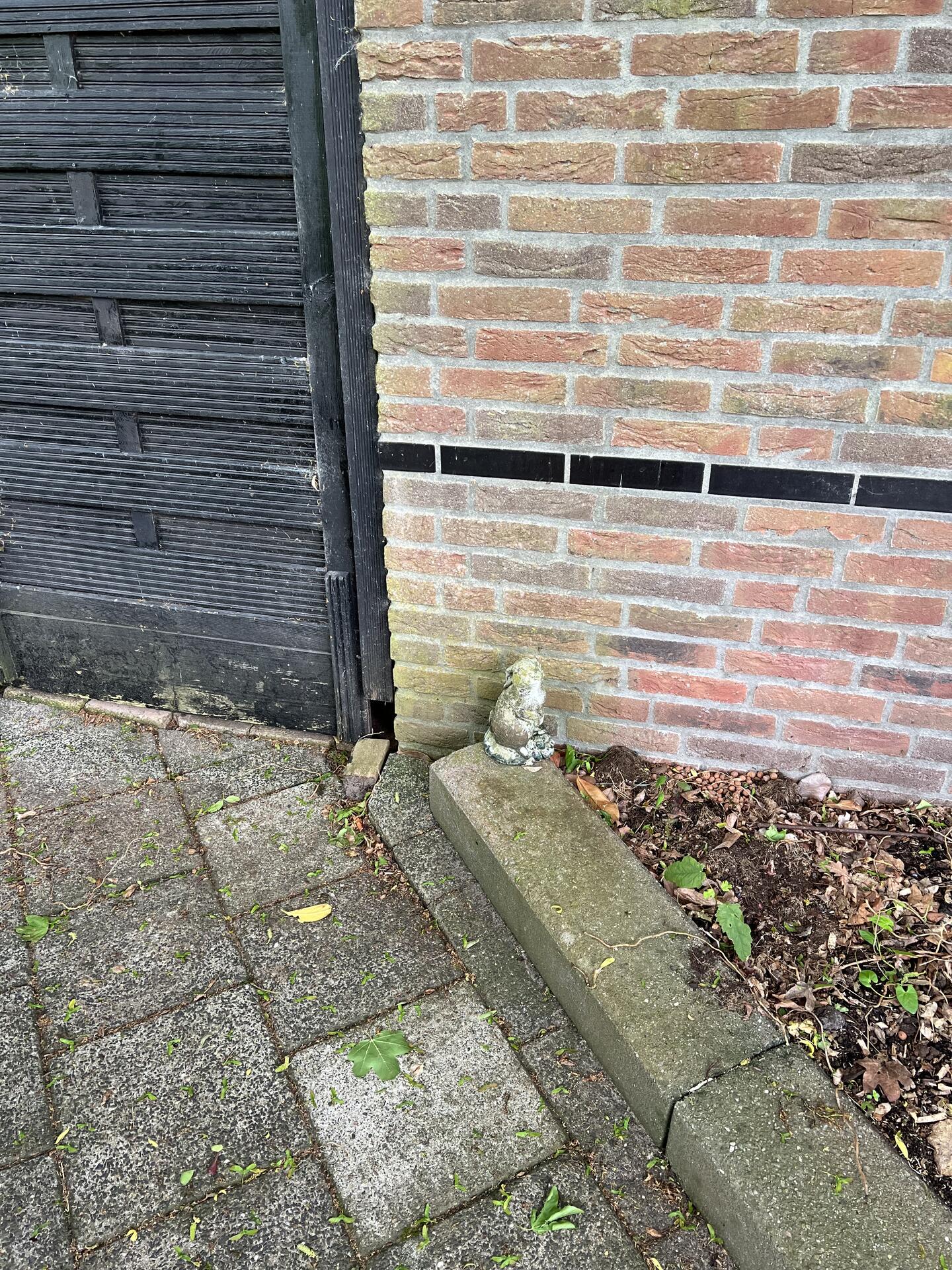 Foto bij melding 5123635 · Openbaar groen
