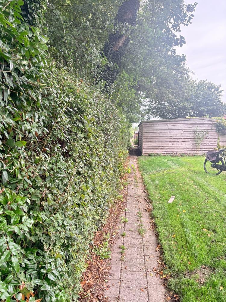 Foto bij melding 5569738 · Openbaar groen