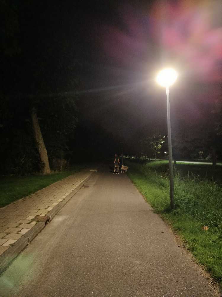 Foto bij melding 5532127 · Straatverlichting
