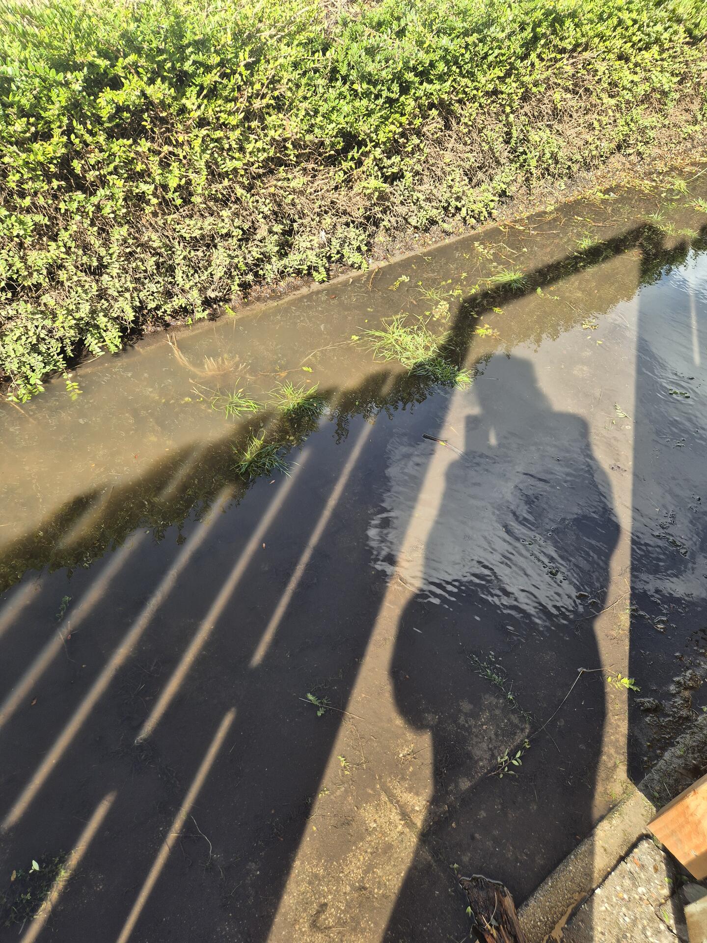 Foto bij melding 5572560 · Wateroverlast