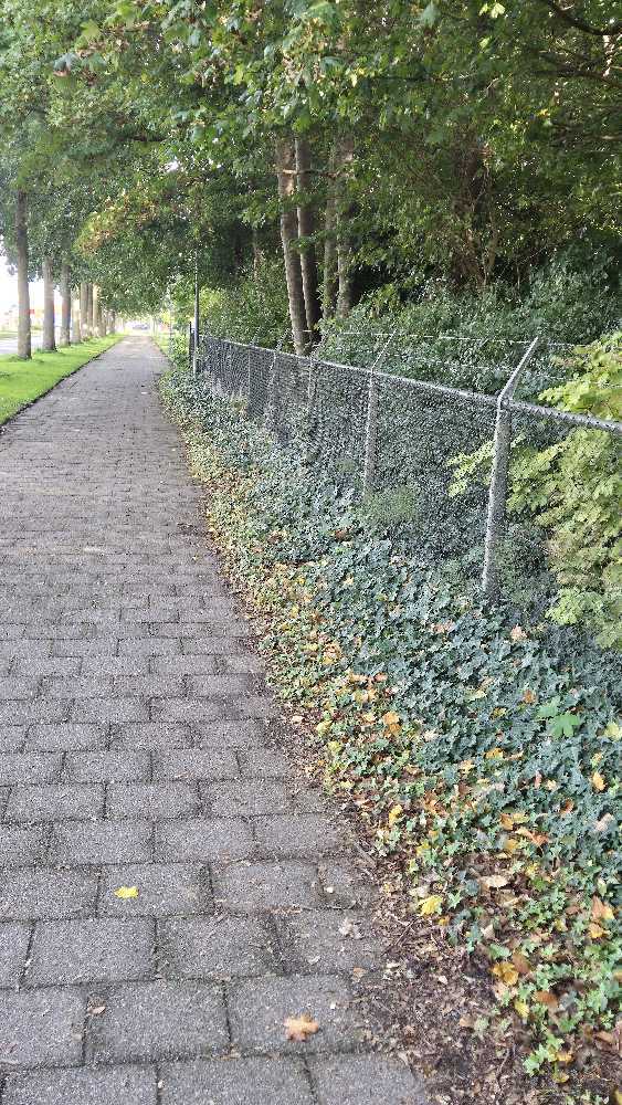 Foto bij melding 5688858 · Wegen, fietspaden, en stoepen