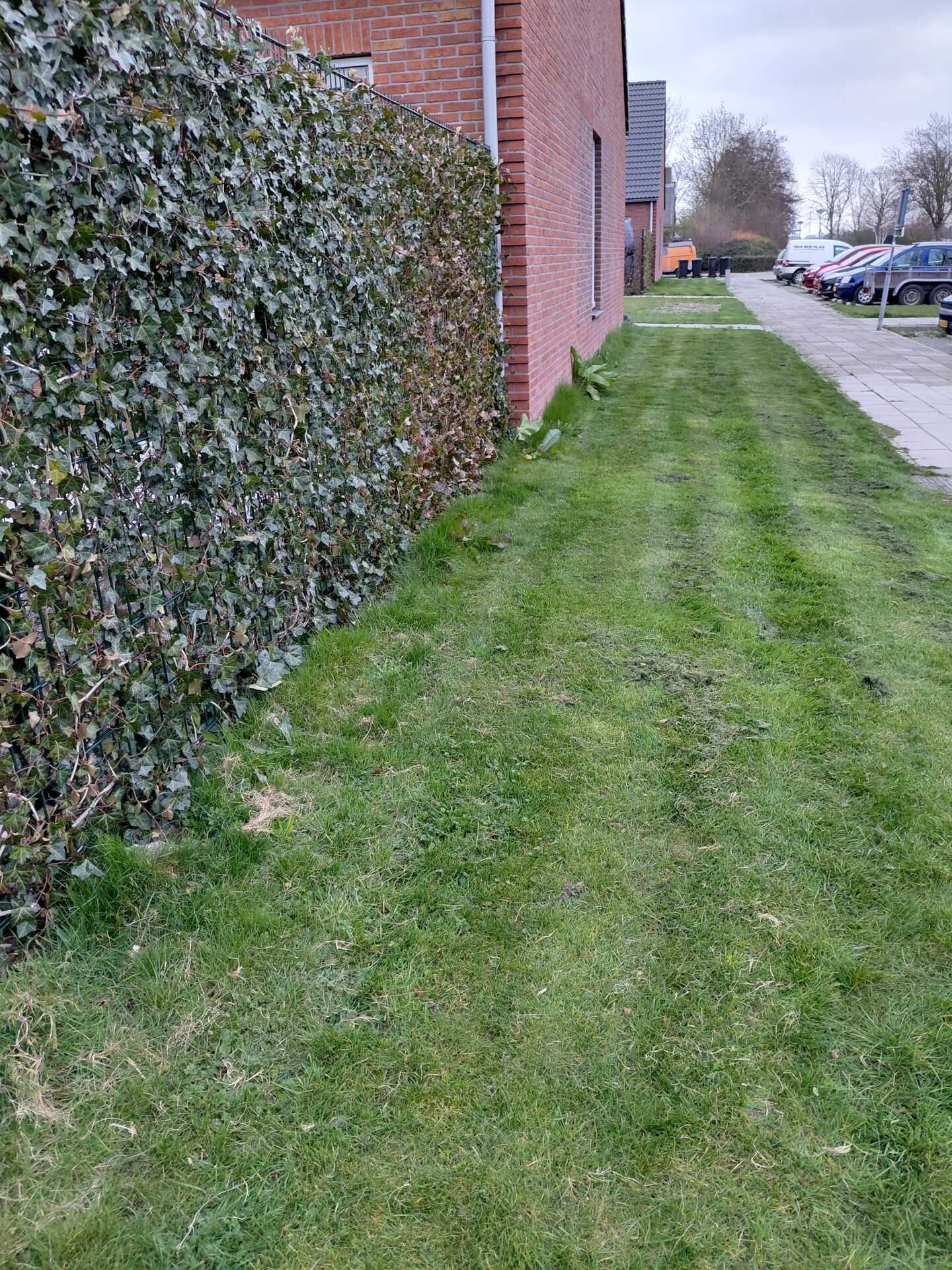 Foto bij melding 5031404 · Openbaar groen